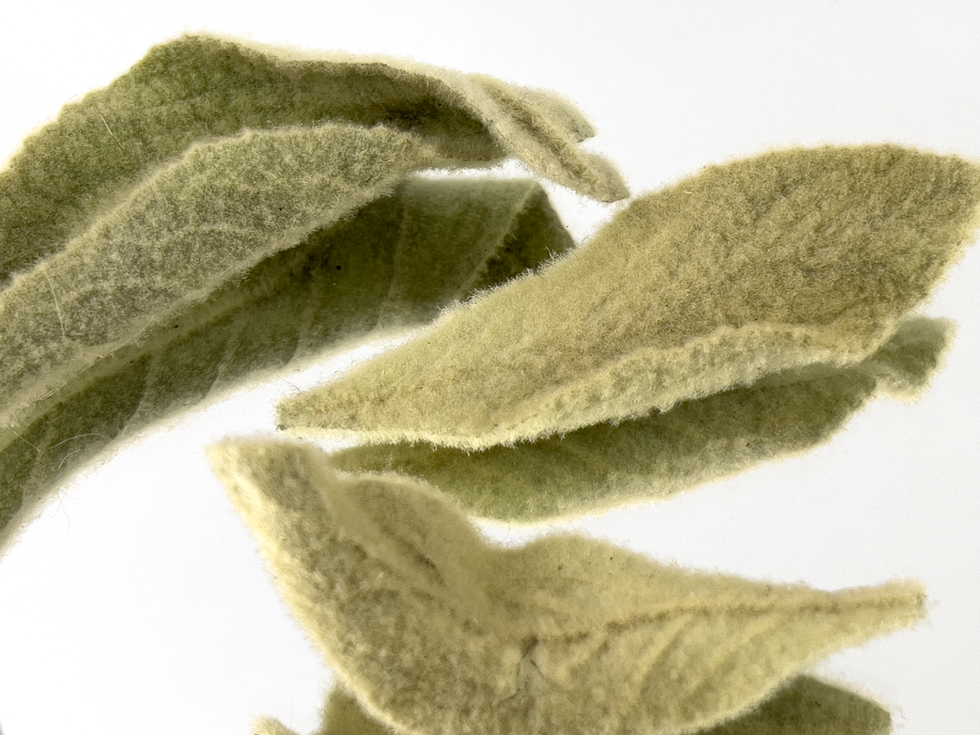 Smoke Down Botanical Blend